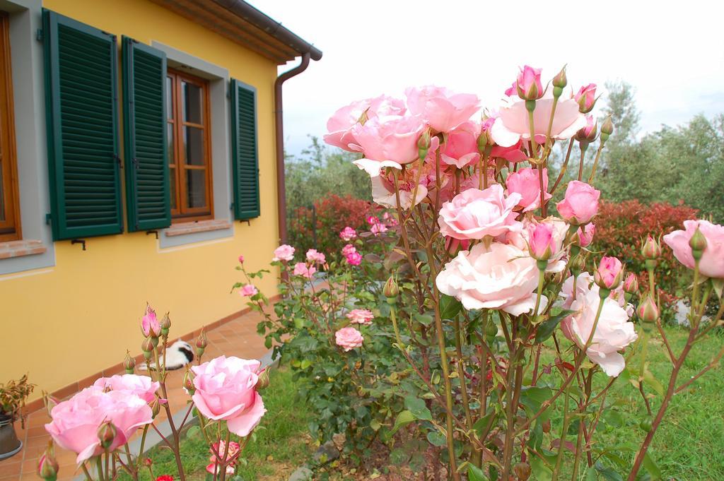 Il Podere Di Giustina Villa Montecarlo Exterior foto